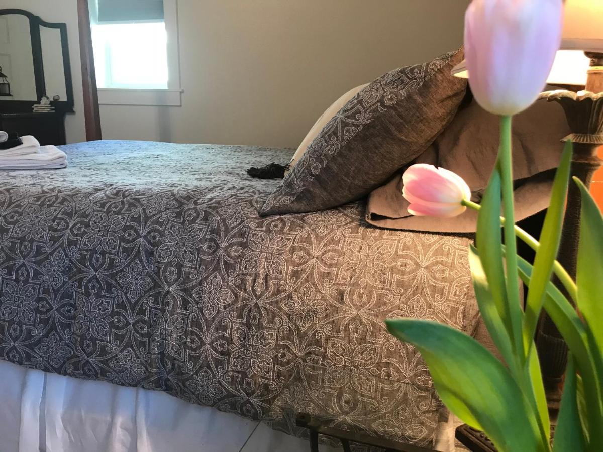 פלמר Snowgoose Pond Bed & Breakfast מראה חיצוני תמונה